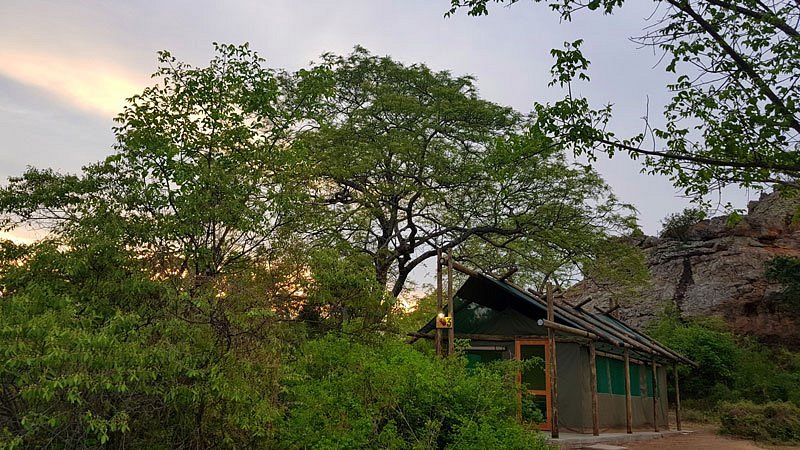 Awelani Lodge & Eco-Tourism Park image