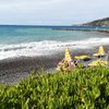 Things To Do in L'Anciua Spiaggia e Bar, Restaurants in L'Anciua Spiaggia e Bar