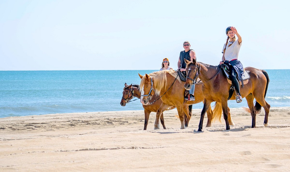 Horse Riding Lessons, 4 Leg Adventures