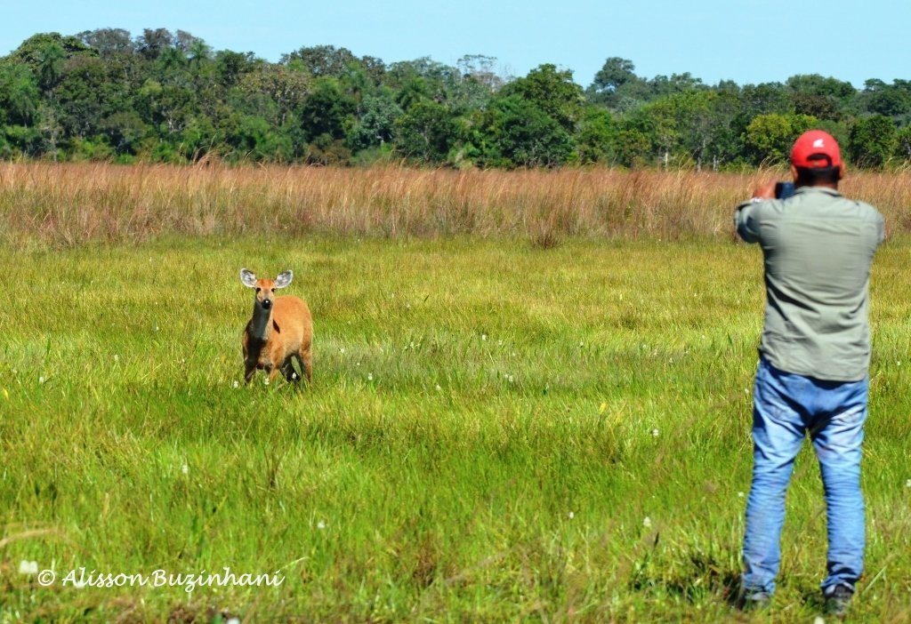 Cavalgada Pantanal - Eco Adventures Travel