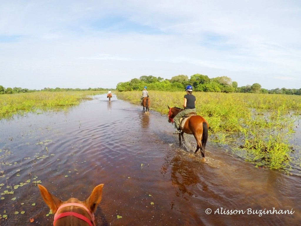 CONHEÇA ROTAS PARA ANDAR A CAVALO NO PANTANAL E OUTRAS REGIÕES - Lugares ECO