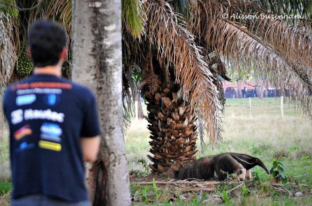 Cavalgada Pantanal - Eco Adventures Travel