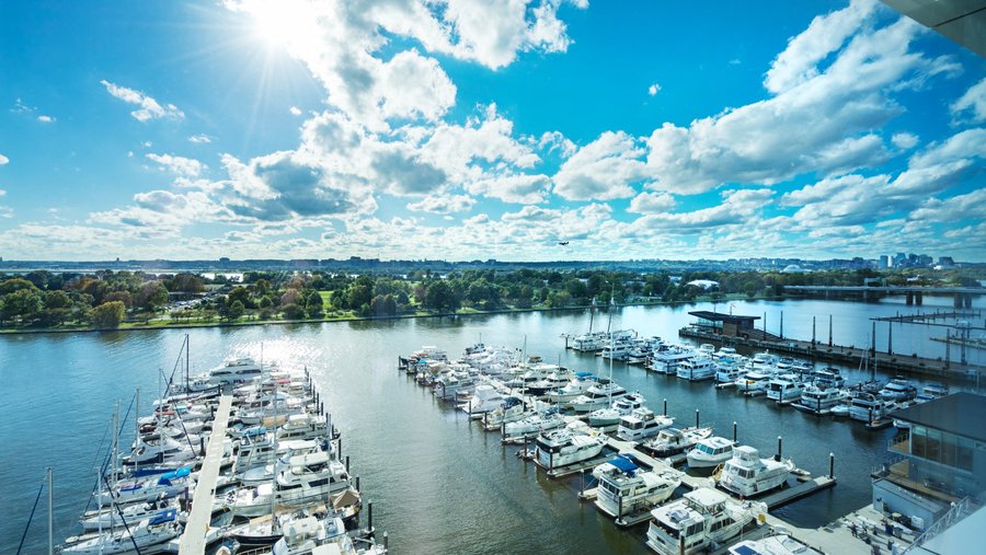 Potomac River View