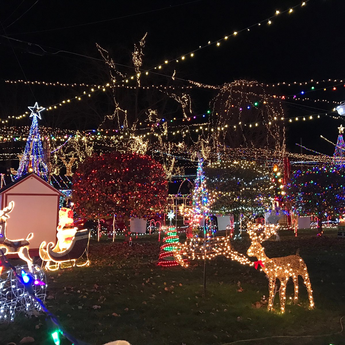 Kokomo Indiana Christmas Lights 2022 We Care Park (Kokomo) - 2022 All You Need To Know Before You Go (With  Photos) - Tripadvisor