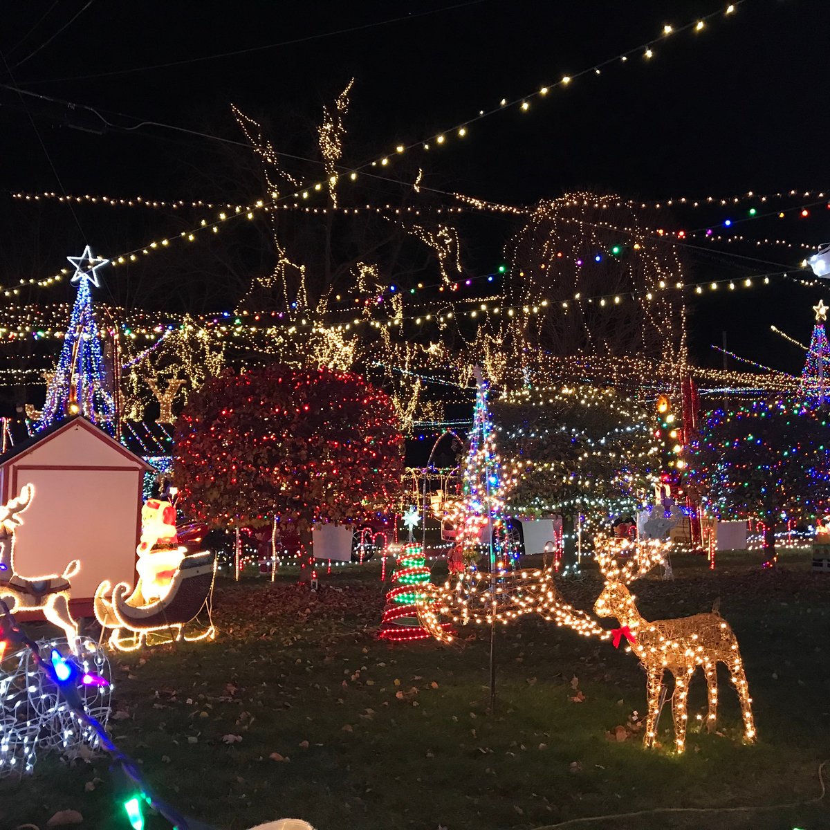 Kokomo Christmas Lights 2022 We Care Park (Kokomo) - 2022 All You Need To Know Before You Go (With  Photos) - Tripadvisor