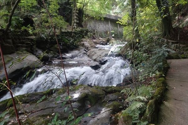 　帰り道は”千歳川”沿い