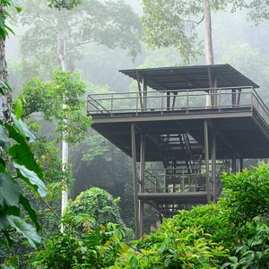 Kawag Danum Rainforest Lodge Observation Tower