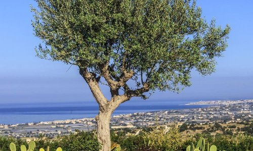 Panorama aziendale uno dei punti forti dell'azienda gli AROMI