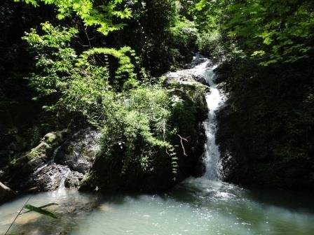 Quinta cachoeira com uma linda piscina natural 