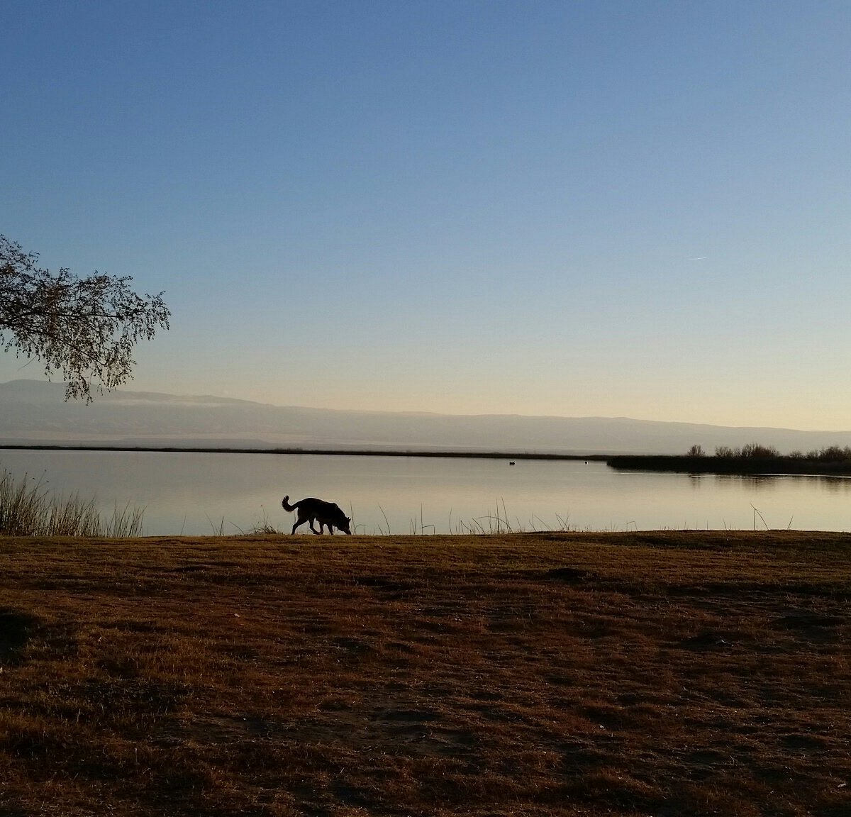 buena-vista-aquatic-recreational-area-bakersfield-2022-ce-qu-il