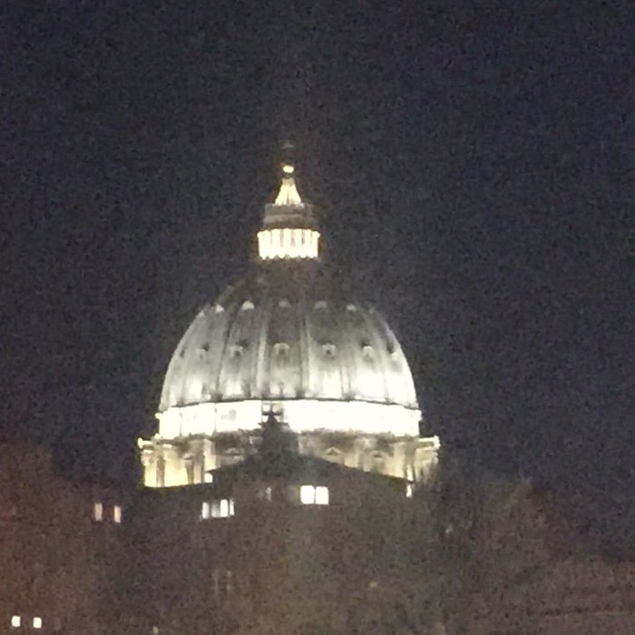 Imagen 4 de Vatican Vista
