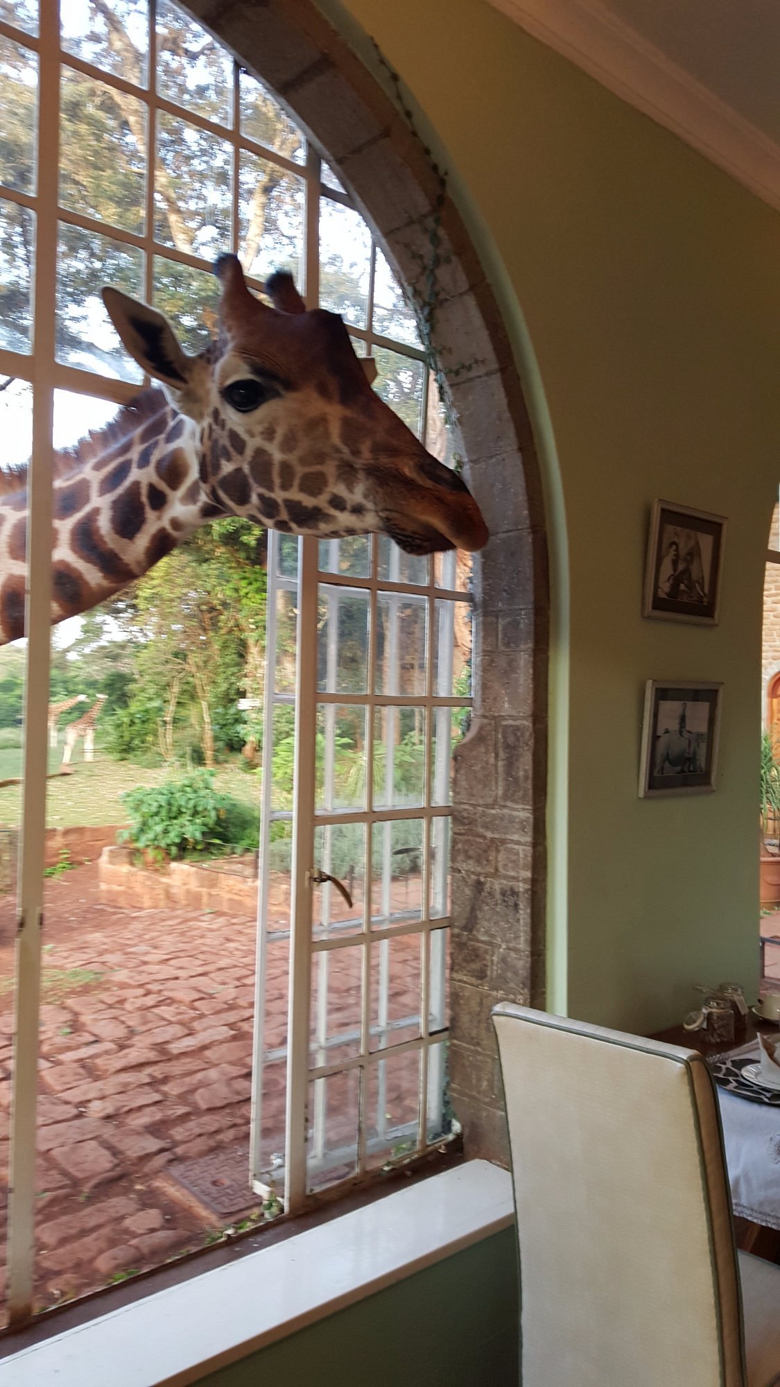 GIRAFFE MANOR (Кения/Найроби) - отзывы и фото - Tripadvisor