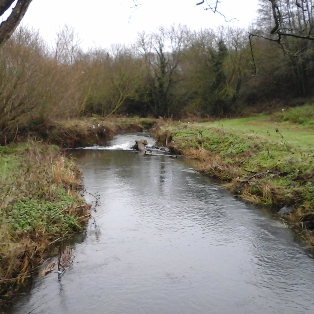 TOLKA VALLEY PARK (Dublin) - All You Need to Know BEFORE You Go