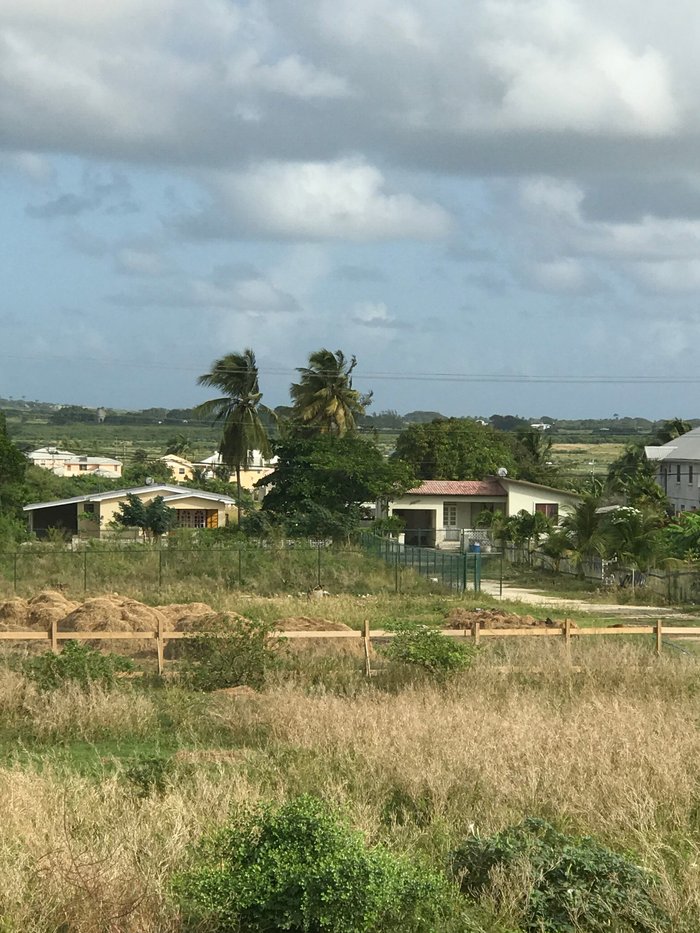 The Terraces Barbados