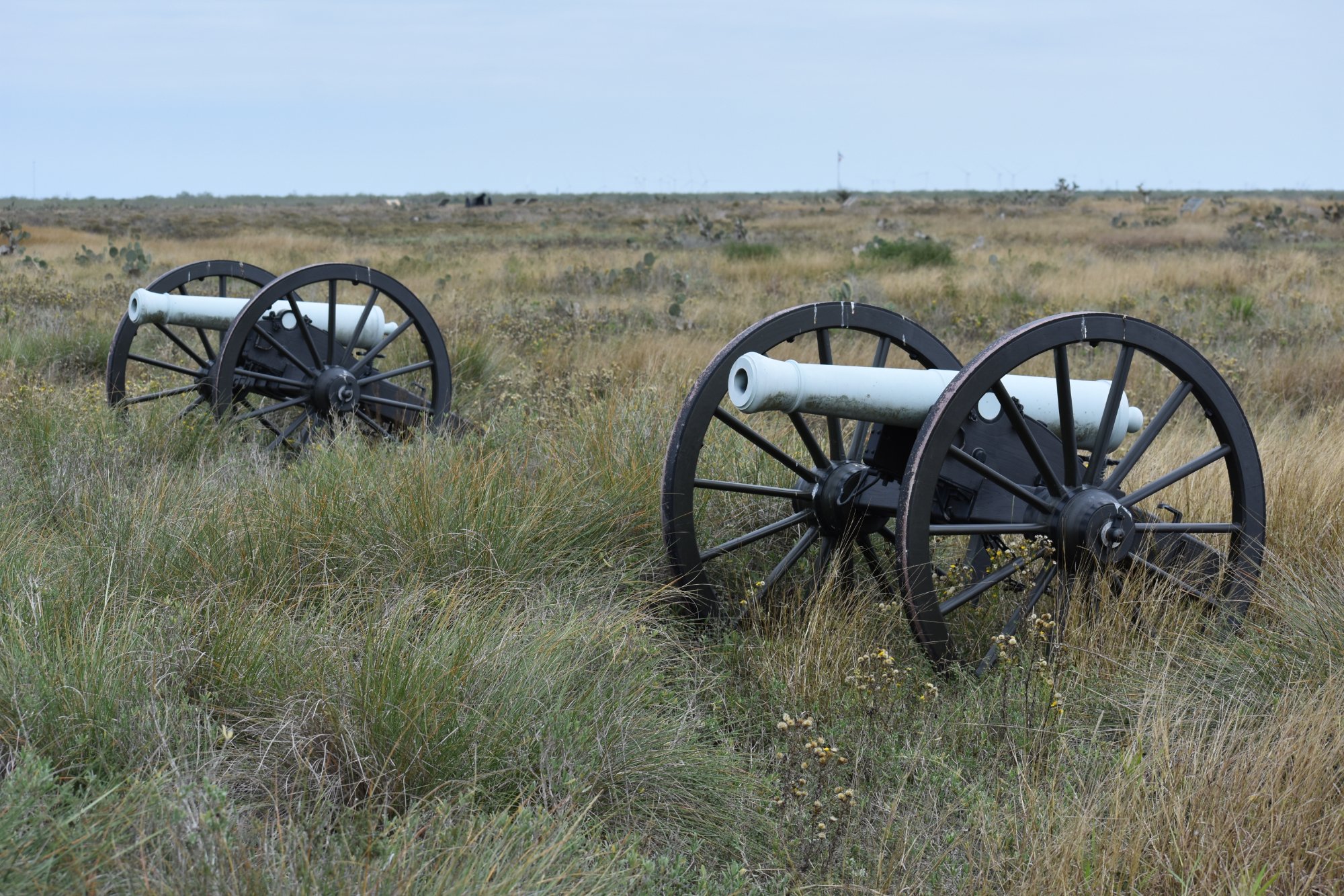 Brownsville Historic Battlefield Trail : Ce Qu'il Faut Savoir