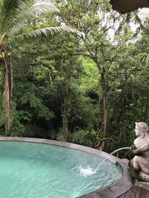 THE KAYON JUNGLE RESORT (BRESELA, INDONÉSIA): 3.123 fotos, comparação de  preços e avaliações - Tripadvisor