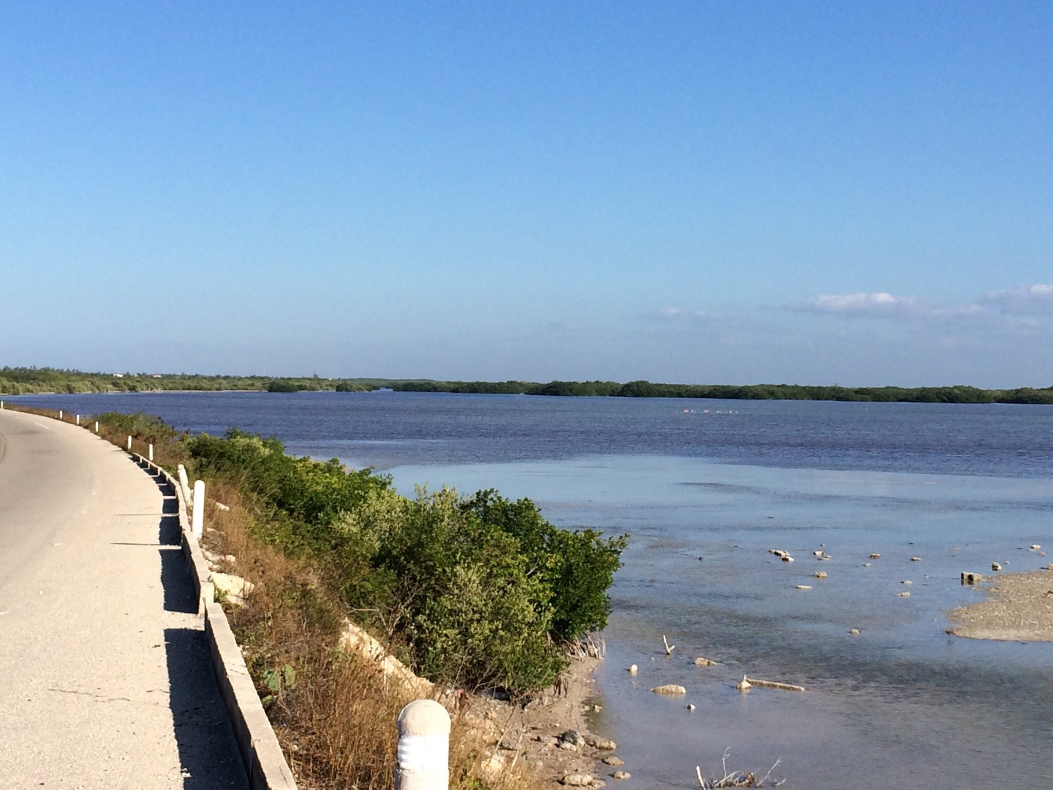 Turismo En Telchac Puerto: Que Visitar En Telchac Puerto, México 2024 ...