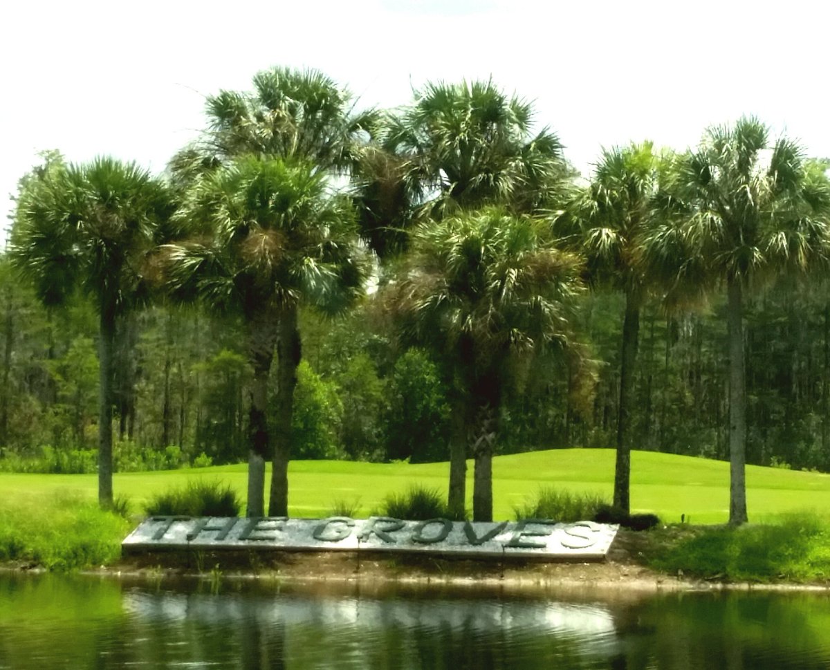 The Groves Golf and Country Club (Land O Lakes) All You Need to Know