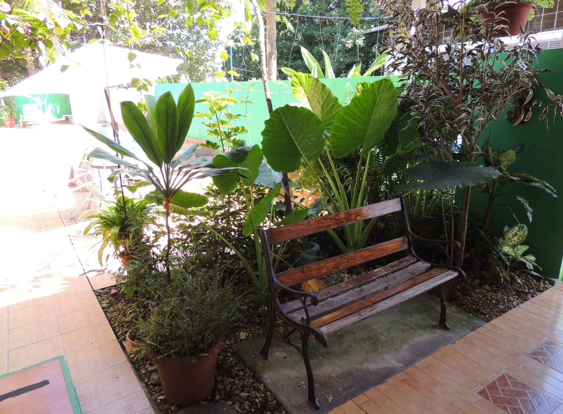 Canal Inn B&B Panama by null