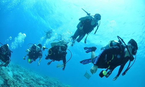 starter and advanced diving courses