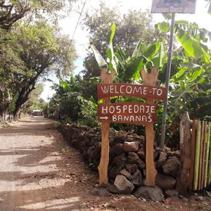 Hospedaje Bananas