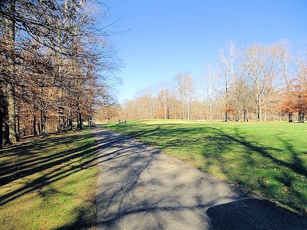 Wooded View Golf Course image