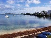 Mangrove Bay Beach (Bermuda) - All You Need to Know BEFORE You Go