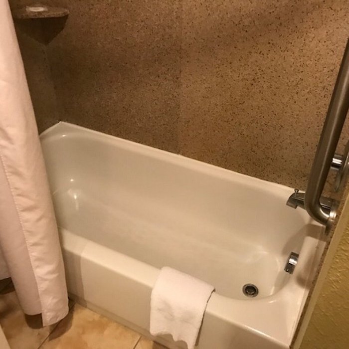 FUNGUS IN THE SHOWER?! - Picture of Quality Inn & Suites, College Park -  Tripadvisor