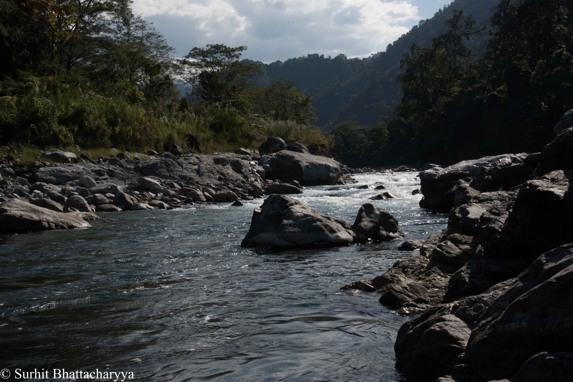 Namdapha National Park and Tiger Reserve - Poster | HimalDoc