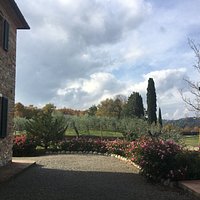 A view from the garden