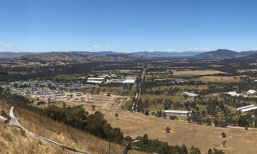 travel centre wodonga