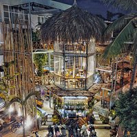 Rainforest from the outside