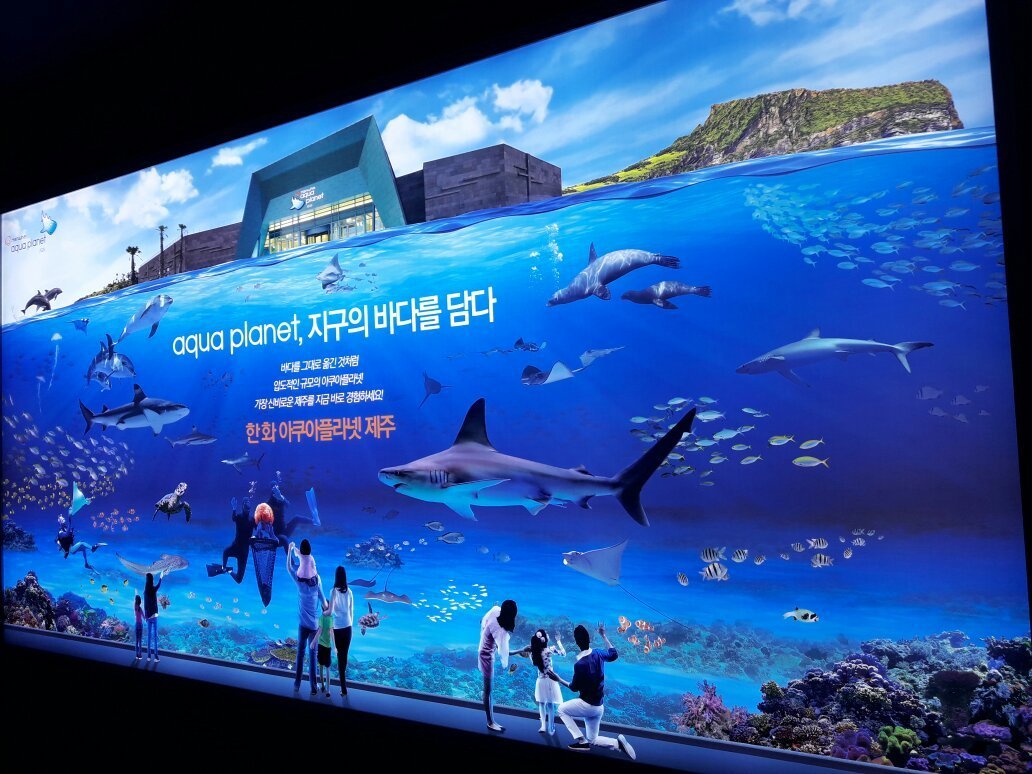 Aquaplanet Jeju, Согвипхо: лучшие советы перед посещением - Tripadvisor