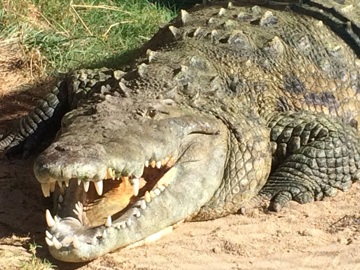 Canadian Herpetological Society