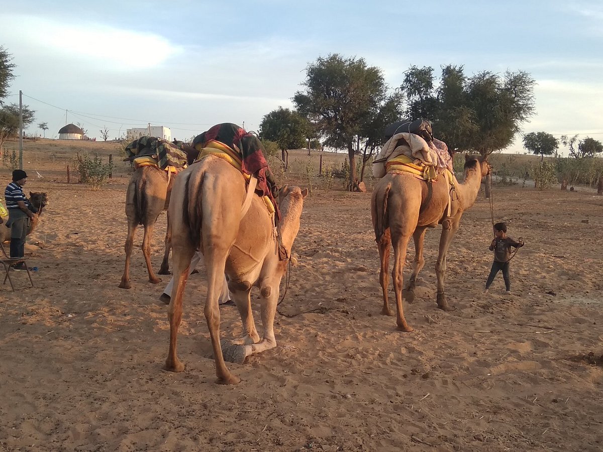 jodhpur village safari