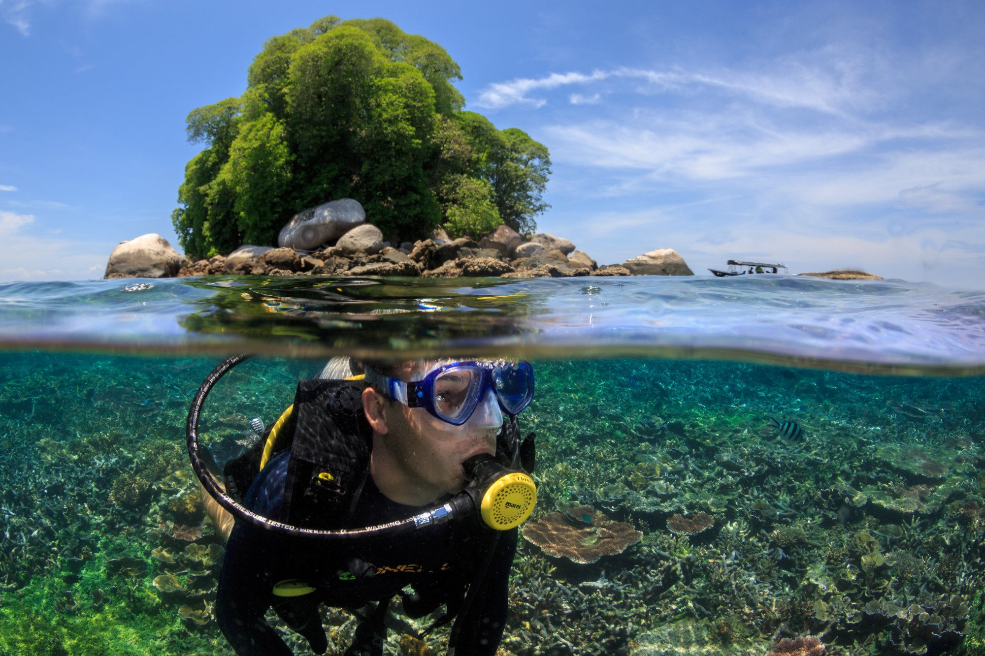 TIOMAN DIVE CENTRE: Tutto Quello Che C'è Da Sapere (2024)