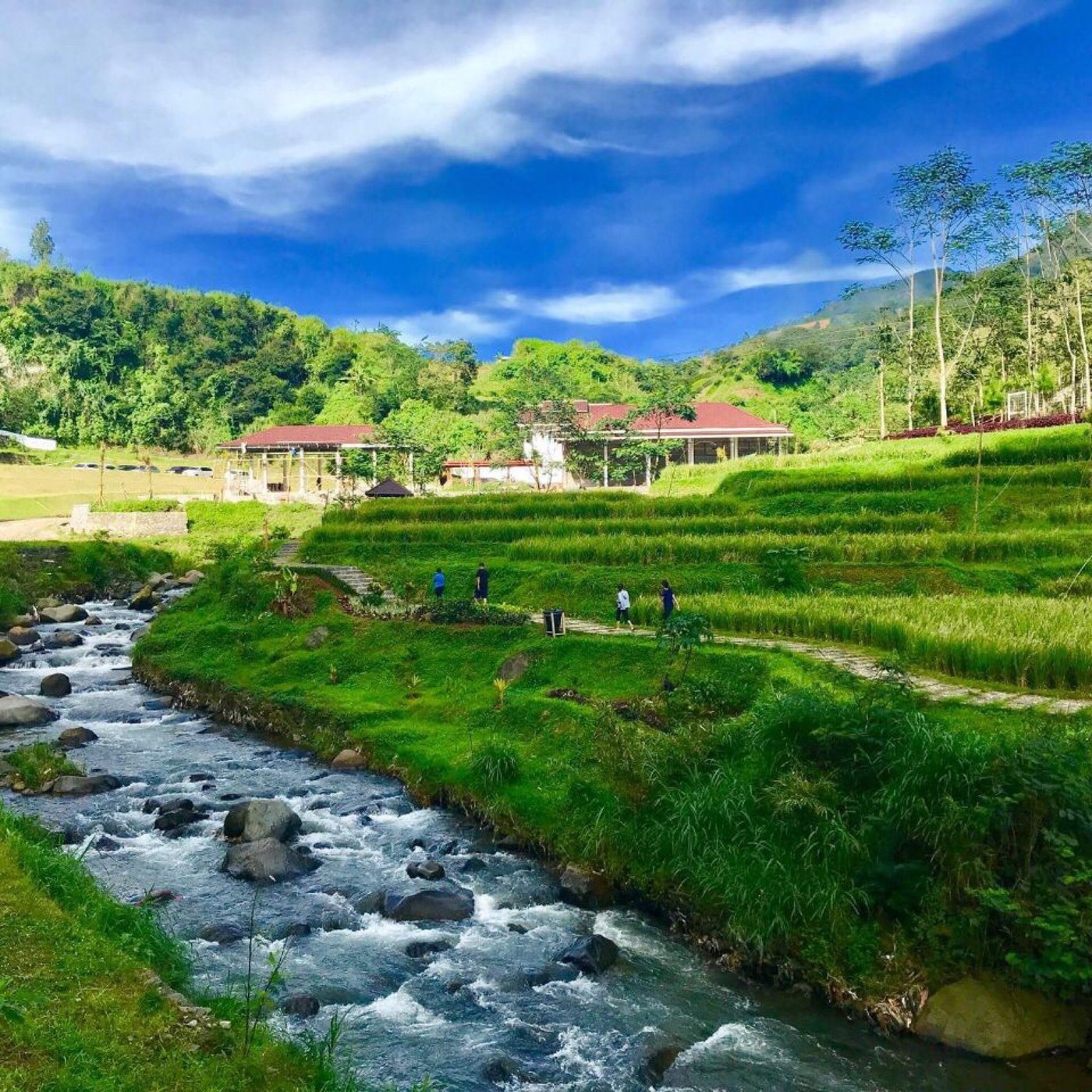 Picture of Puncak