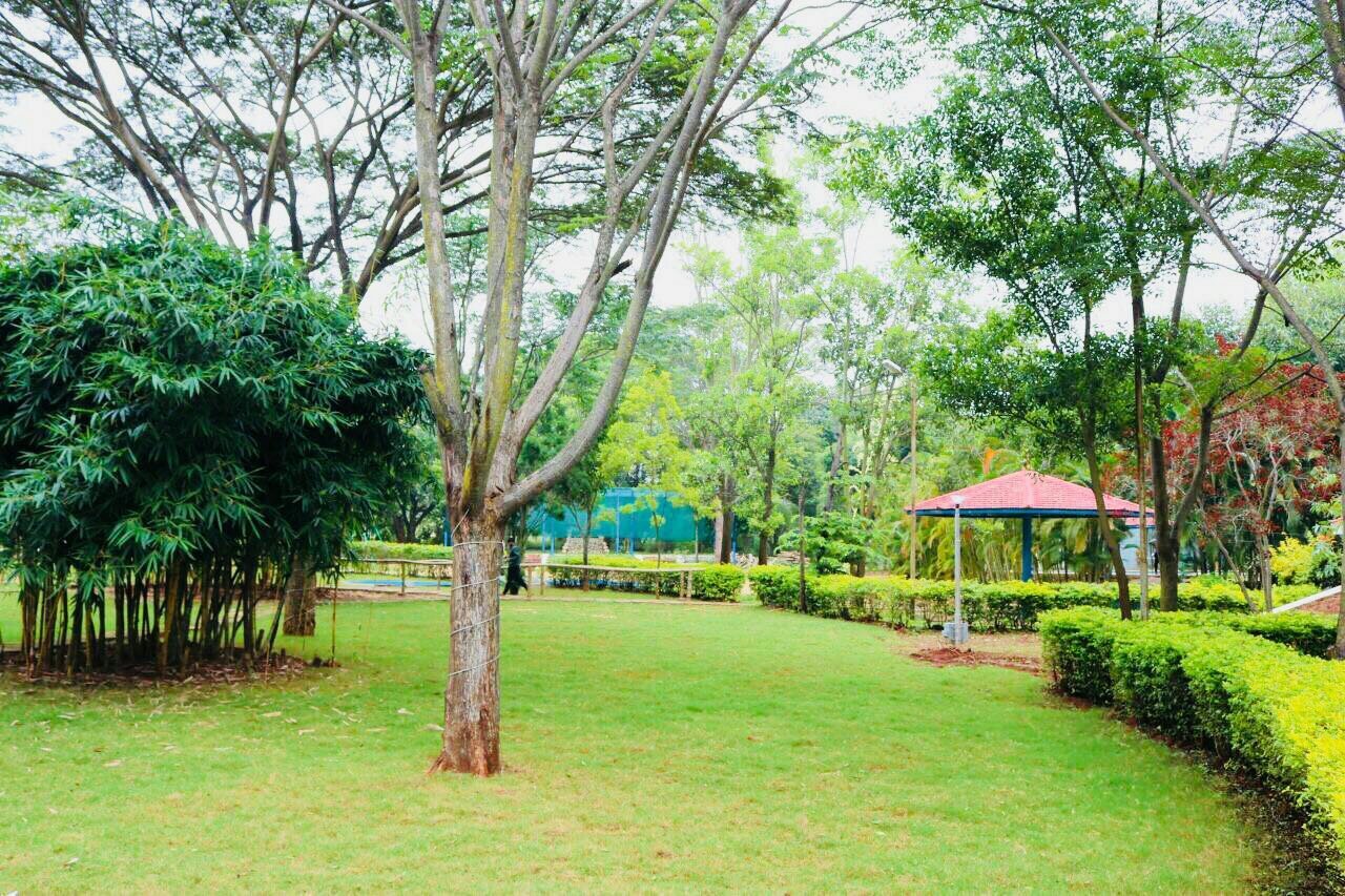 Adventure Village Resort (벵갈루루) - 호텔 리뷰