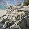 What to do and see in Little Exuma, Out Islands: The Best Things to do