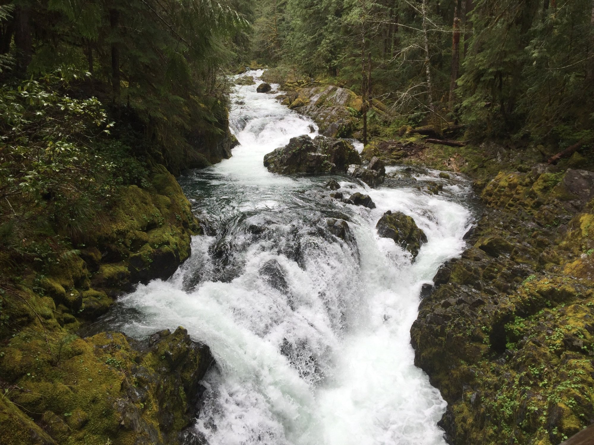 Opal creek wilderness hike hotsell