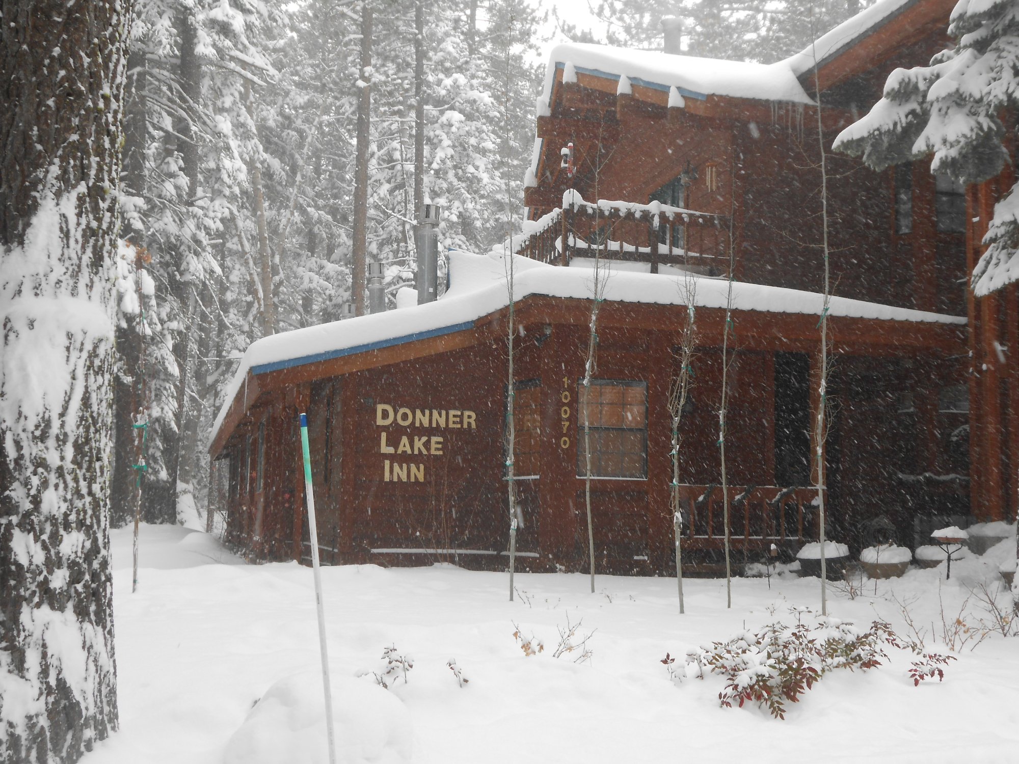 DONNER LAKE INN BED AND BREAKFAST - Updated 2024 Prices & B&B Reviews ...