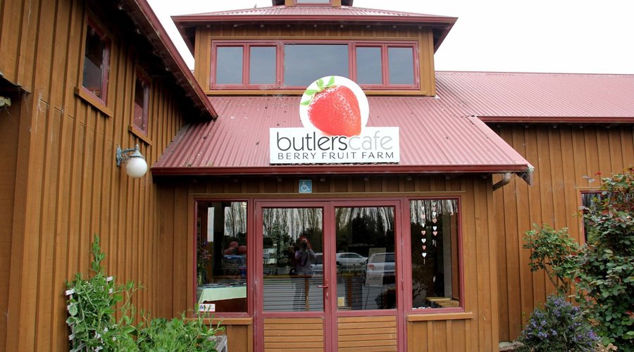 Butlers Berry Farm & Cafe, Waimate - 레스토랑 리뷰 - 트립어드바이저