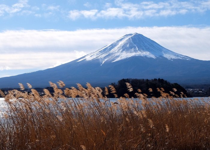 山中湖→忍野八海→河口湖→西湖→精進湖→本栖湖→不動ほうとう