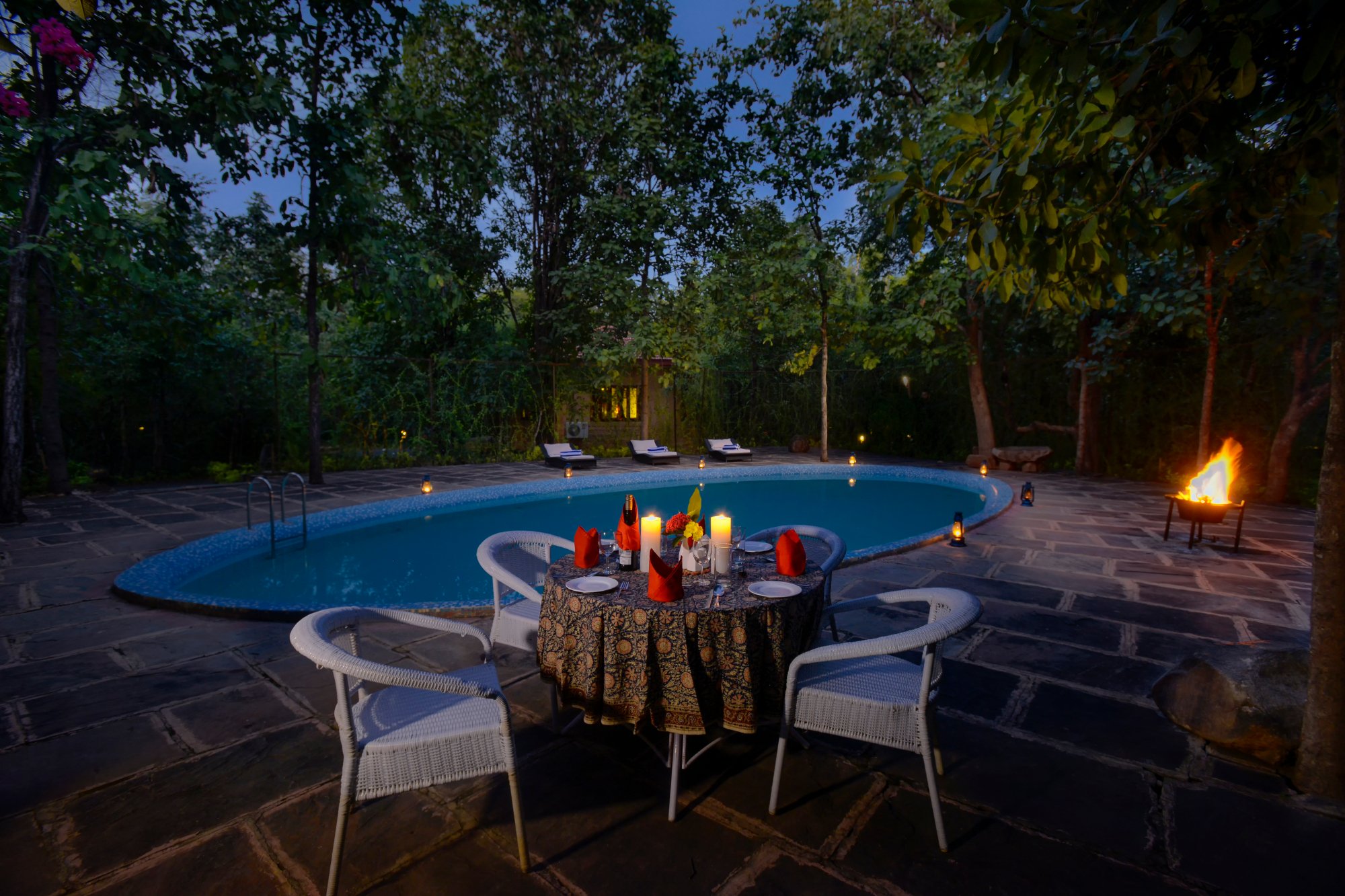 Pench Jungle Camp Pool Pictures Reviews Tripadvisor   Swimming Pool 