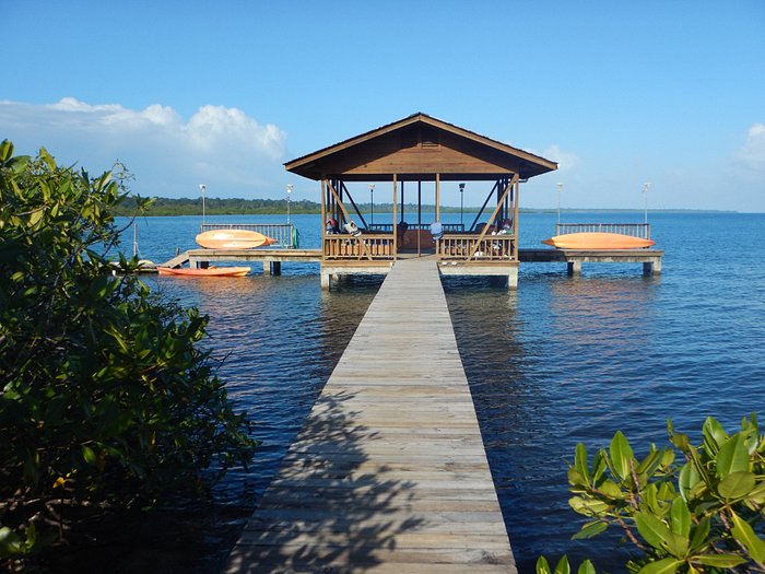 Tranquilo Bay Ecolodge Hotel in Bocas del Toro