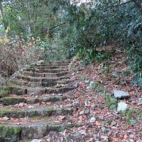 アップダウンが激しい