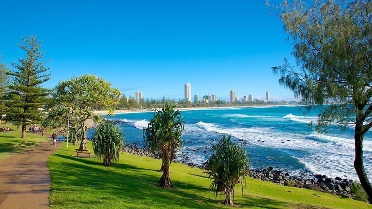 can you take dogs to burleigh beach