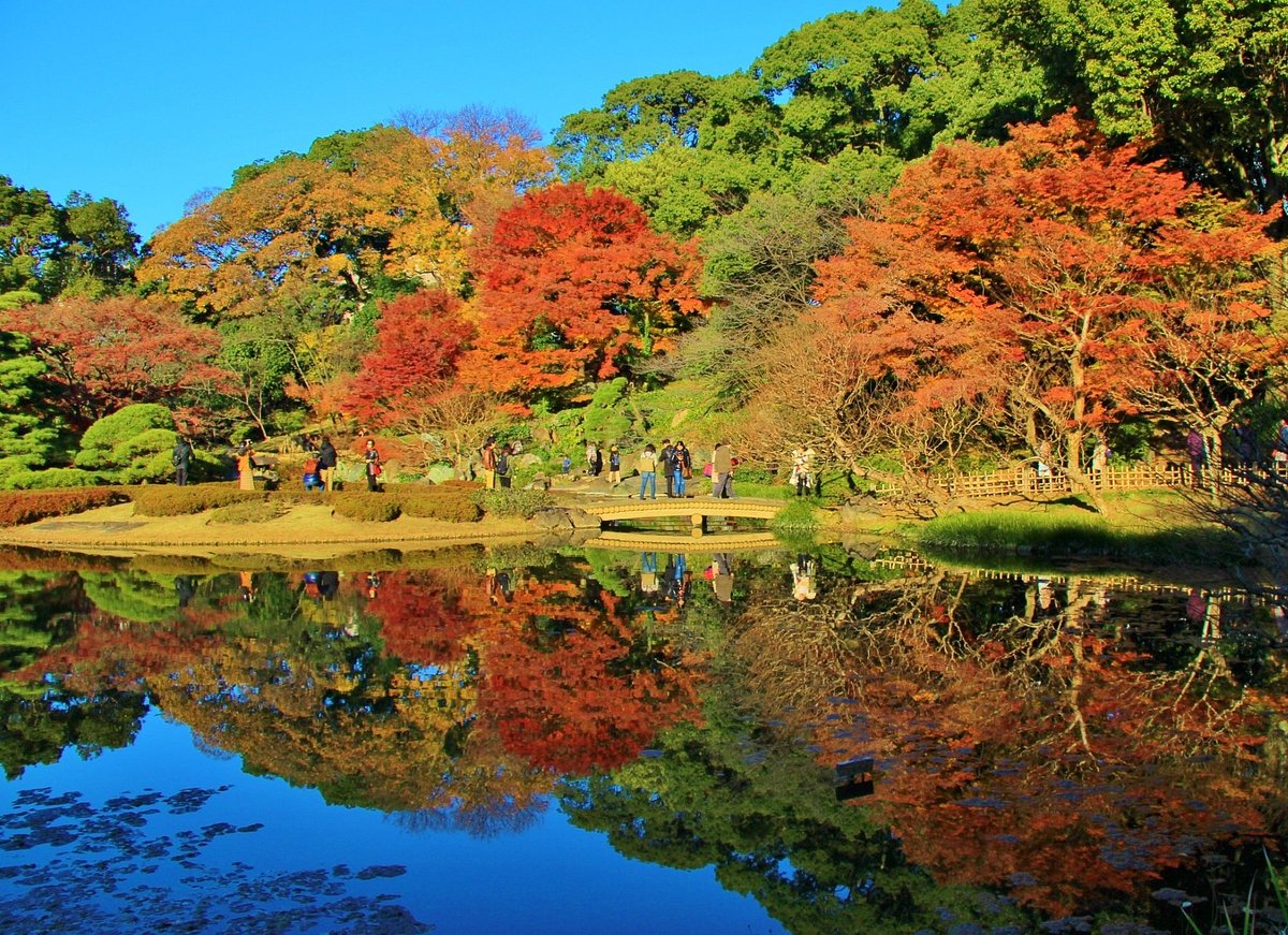 Ninomaru Garden (Chiyoda) - All You Need to Know BEFORE You Go