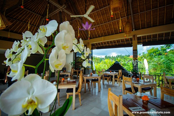 Great Morning Ambience for Breakfast in #Ubud #Bali with the best Butter  #Croissant at @monsieurspoon Ubud with @owen_rainer…