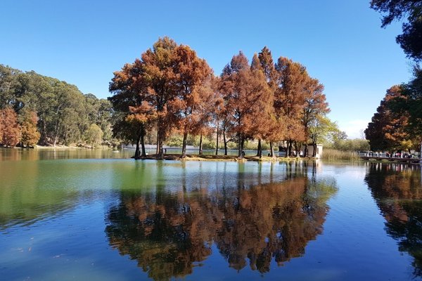 San Martin Texmelucan de Labastida, Mexico 2023: Best Places to Visit -  Tripadvisor